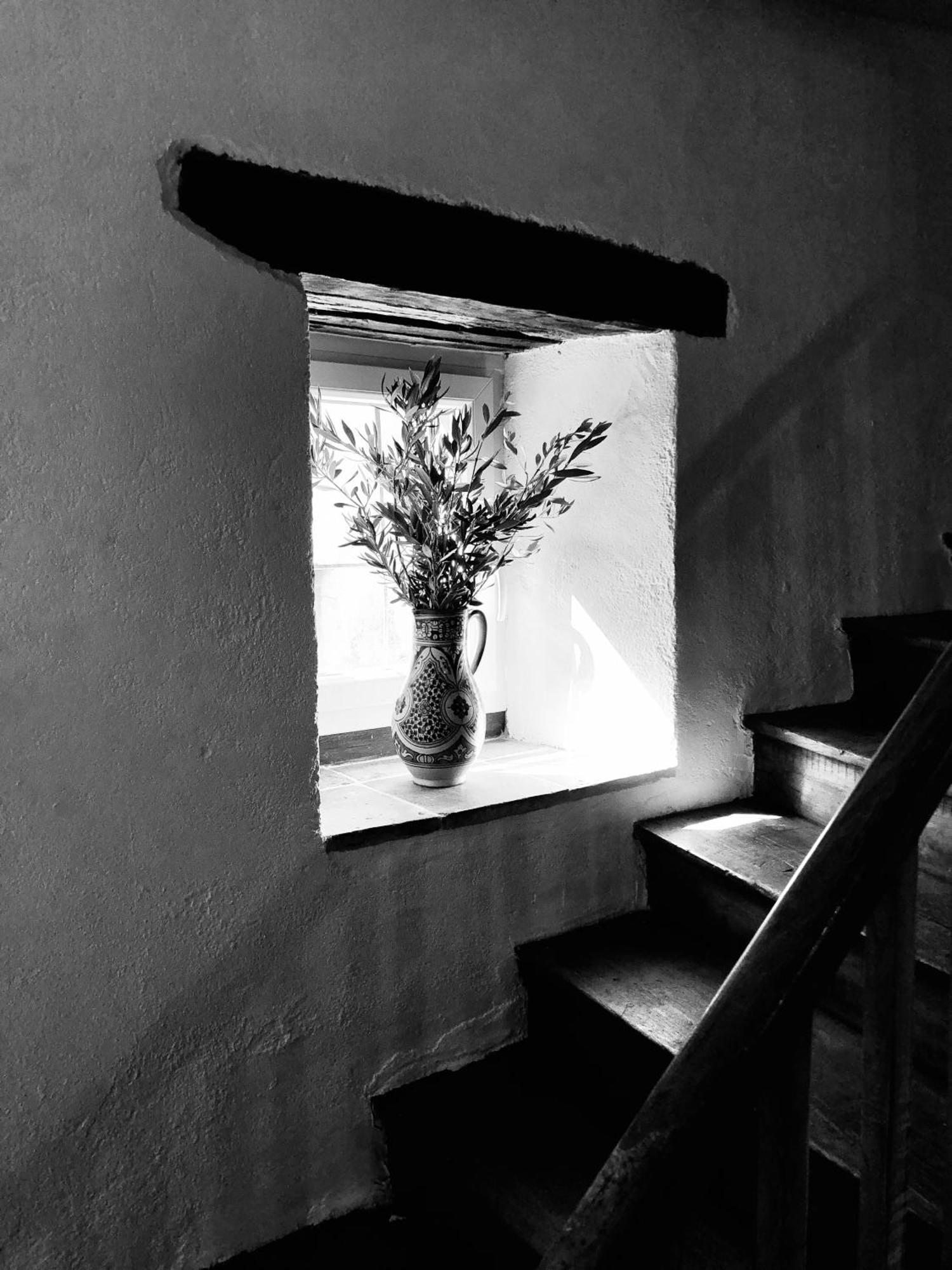 Maison De L'Aurausse Les Cabannes  ภายนอก รูปภาพ